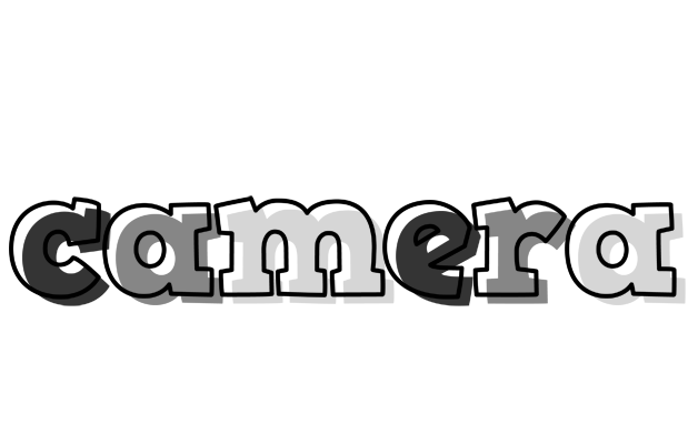 Camera night logo