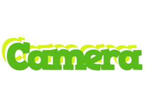 Camera picnic logo