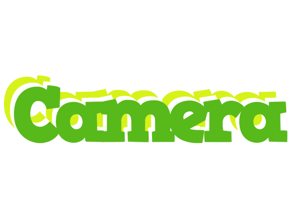Camera picnic logo