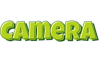 Camera summer logo