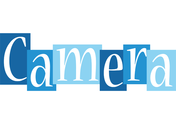 Camera winter logo