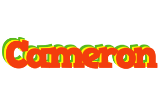 Cameron bbq logo