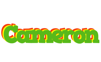 Cameron crocodile logo