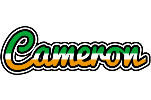 Cameron ireland logo