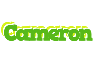 Cameron picnic logo