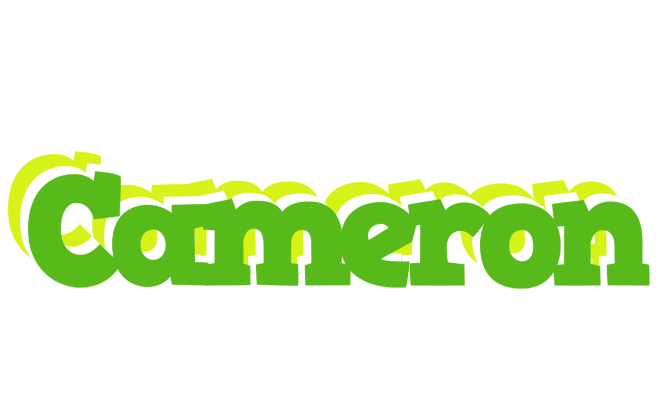 Cameron picnic logo