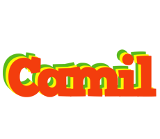 Camil bbq logo