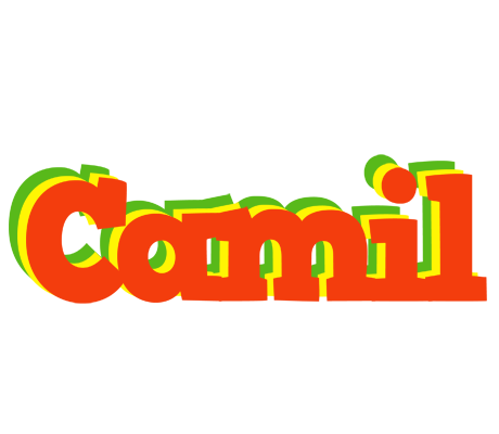 Camil bbq logo