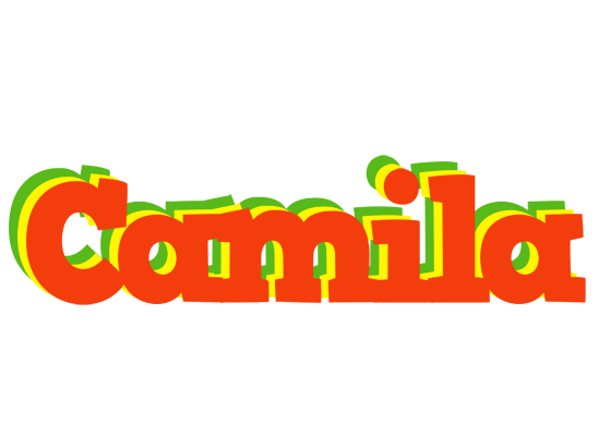 Camila bbq logo