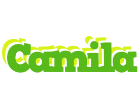 Camila picnic logo