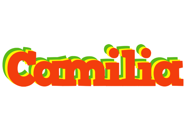 Camilia bbq logo
