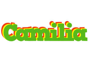 Camilia crocodile logo