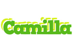 Camilla picnic logo