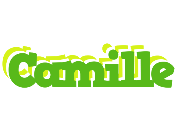 Camille picnic logo