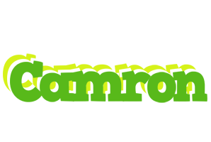 Camron picnic logo