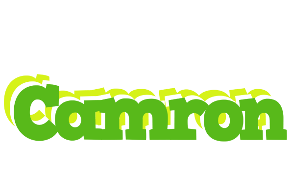 Camron picnic logo