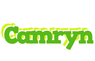 Camryn picnic logo