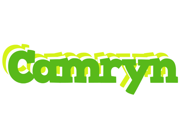Camryn picnic logo