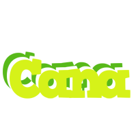 Cana citrus logo