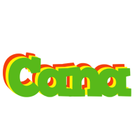 Cana crocodile logo