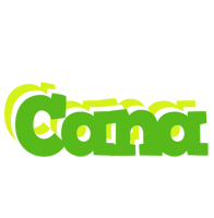 Cana picnic logo