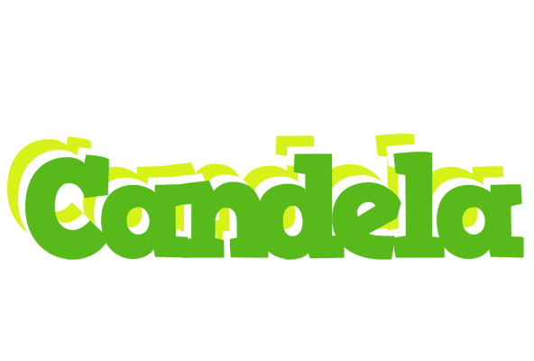 Candela picnic logo