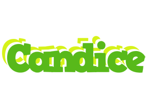 Candice picnic logo