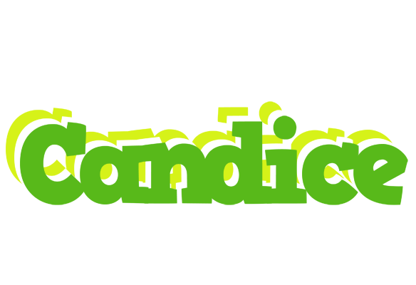 Candice picnic logo