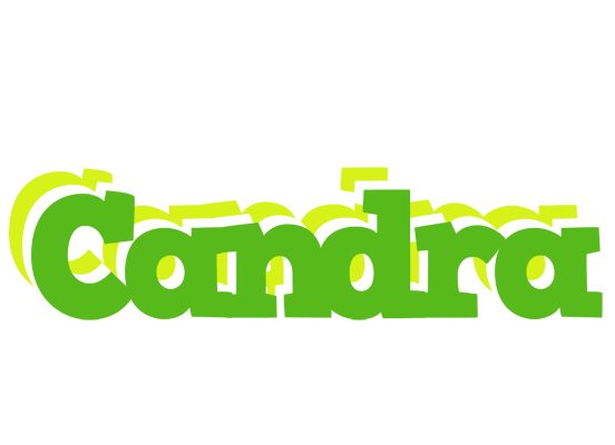 Candra picnic logo