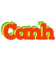 Canh bbq logo