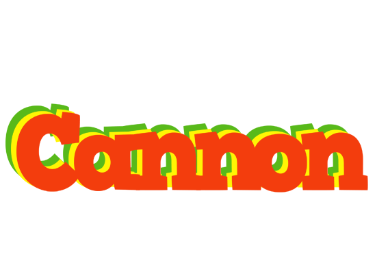 Cannon bbq logo