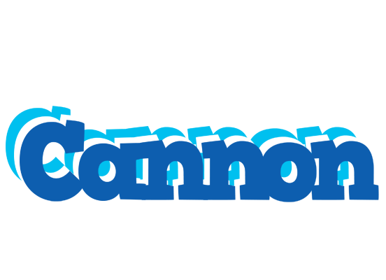 Cannon business logo