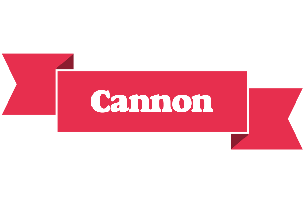 Cannon sale logo
