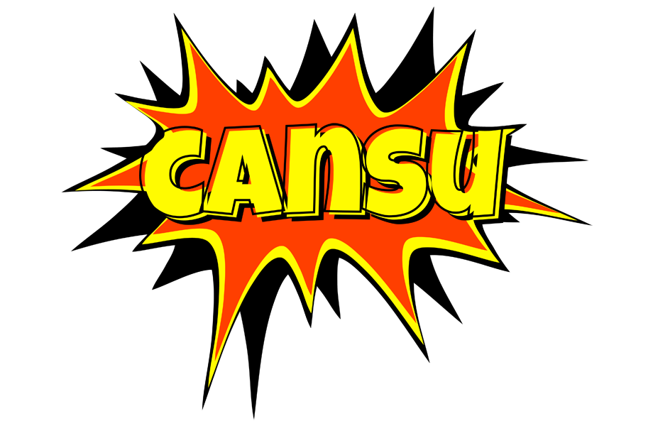 Cansu bazinga logo