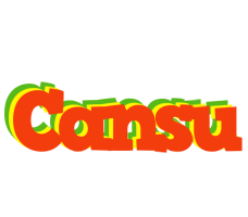 Cansu bbq logo