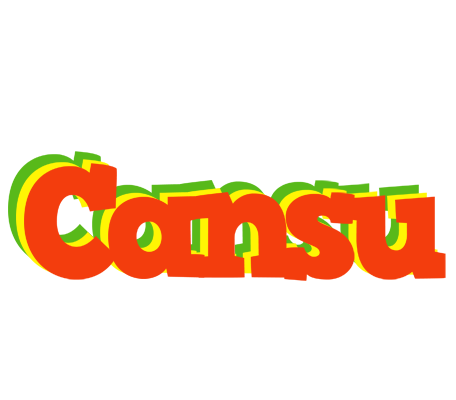 Cansu bbq logo