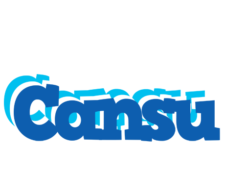 Cansu business logo