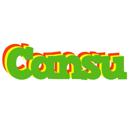 Cansu crocodile logo