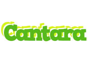 Cantara picnic logo