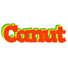 Canut bbq logo