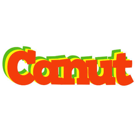 Canut bbq logo
