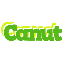 Canut picnic logo