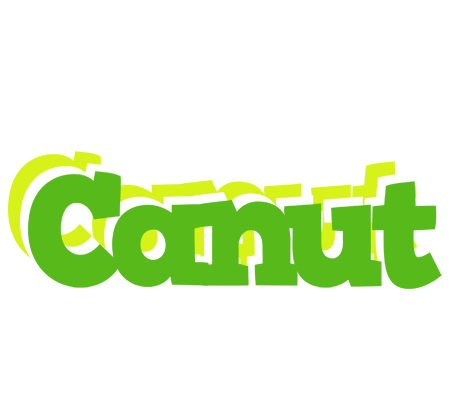 Canut picnic logo