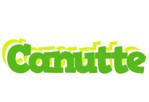 Canutte picnic logo