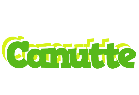 Canutte picnic logo