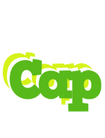 Cap picnic logo