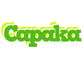 Capaka picnic logo