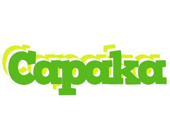 Capaka picnic logo