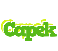 Capek picnic logo