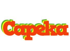 Capeka bbq logo